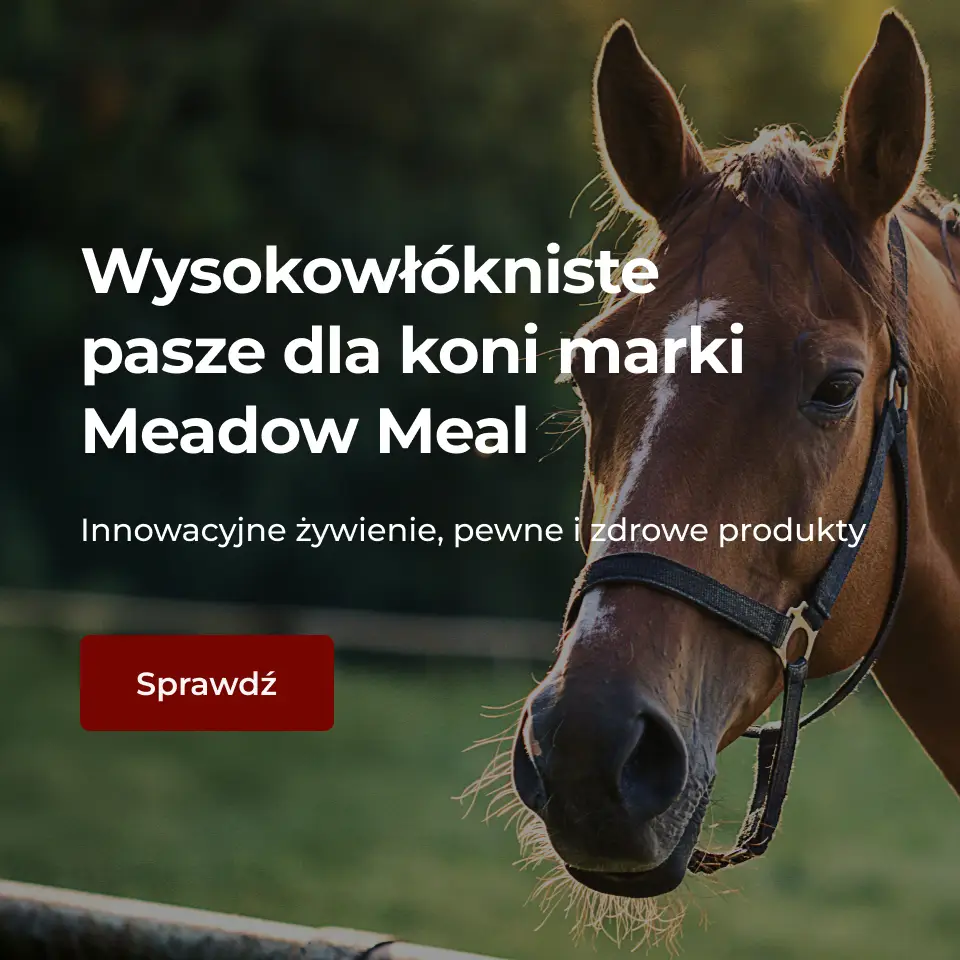 Wysokowłókniste pasze  dla koni marki Meadow Meal